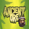 Ancient Ore Level 01