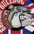 British Bulldog