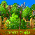 5 Differences - Forest Trails