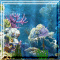 Hidden Objects - Underwater World