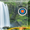 Hidden Targets - Amazon Rainforest