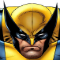 Pic Tart - Wolverine