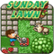 Sunday Lawn