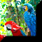 Hidden Objects - Zoo