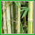 Hidden Numbers - Bamboo Forest