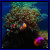 Hidden Numbers - Coral Reefs