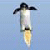 Penguin Flight