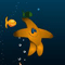 Star Fish